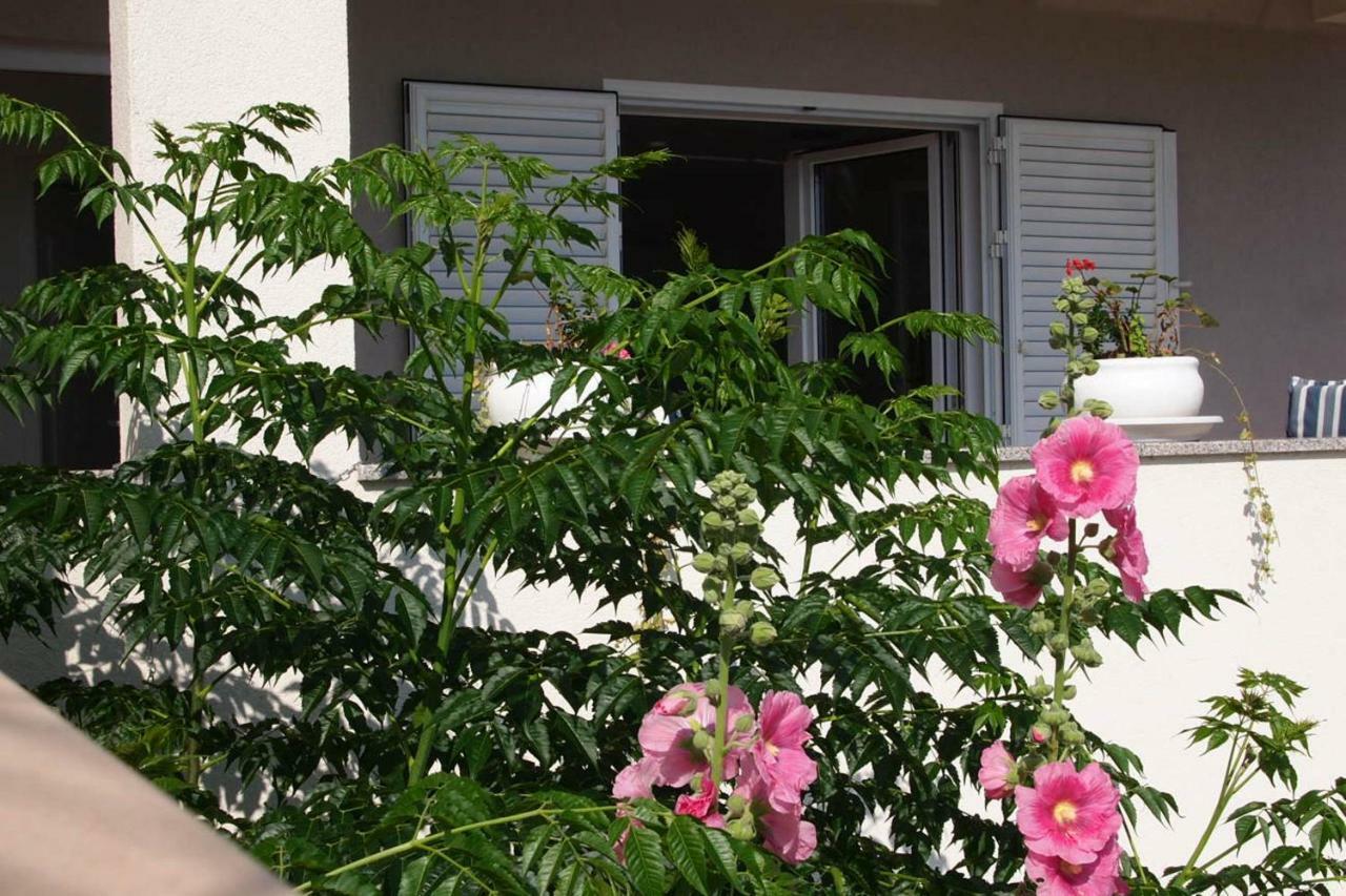 Open Hus Apartment Krvavica Ngoại thất bức ảnh