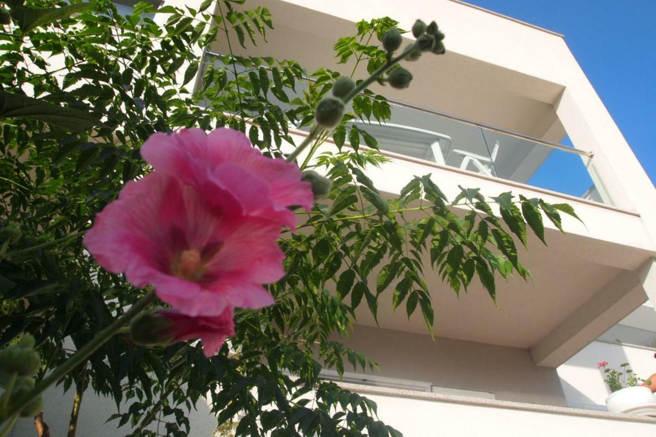 Open Hus Apartment Krvavica Ngoại thất bức ảnh